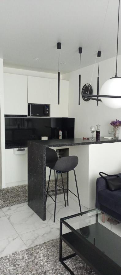 New Modern Apartment Uzhhorod Luaran gambar
